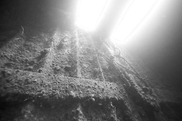 Underwater Pompano Beach Through A 14mm Lens 